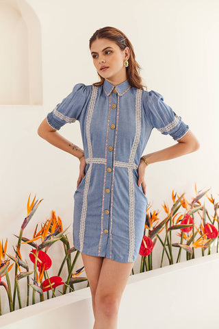 Nilima shirt dress