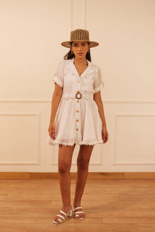 Nargis skater dress