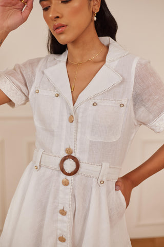 Nargis skater dress