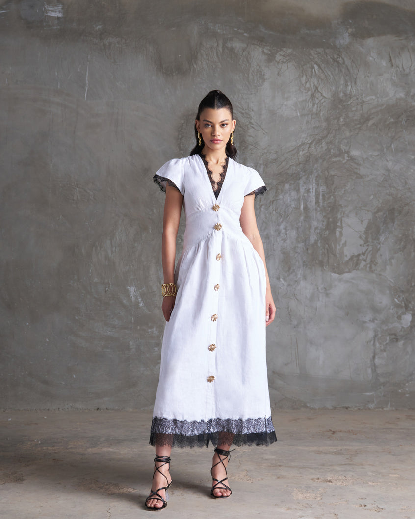 Roshni maxi dress
